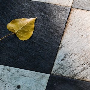 leaf, tiles, floor-4470075.jpg